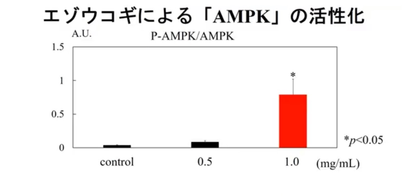 エゾウコギ - ヘルスビジネスオンライン